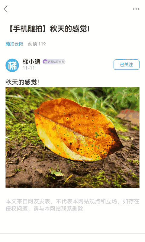 梯城网