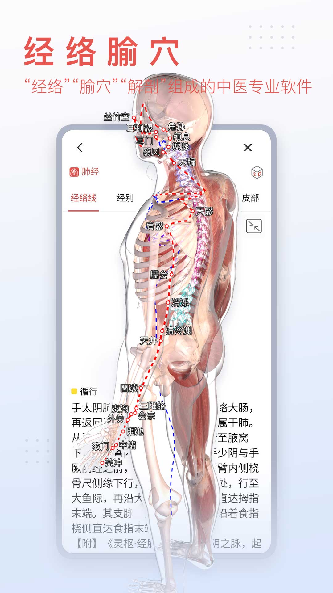 3DBody解剖